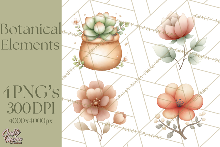 Botanical Clipart Leaves Flowers Succulents Branches PNG