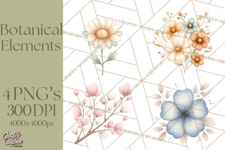 Botanical Clipart Leaves Flowers Succulents Branches PNG