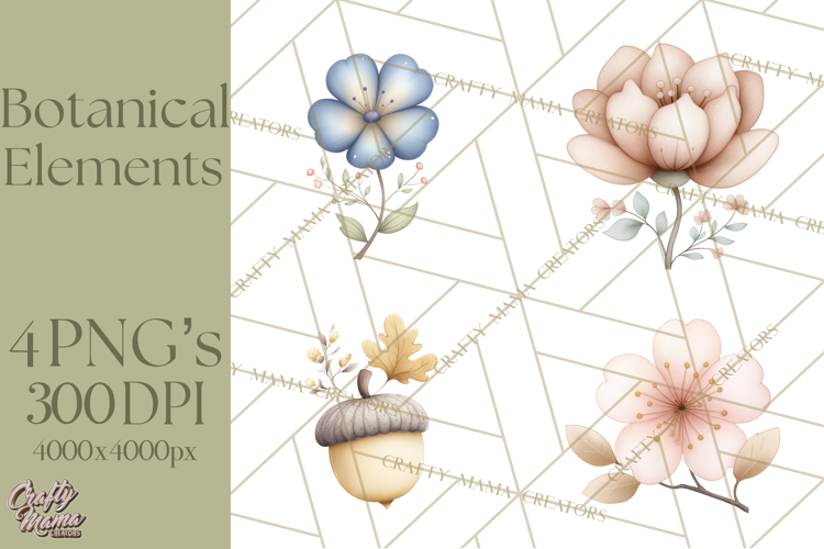 Botanical Clipart Leaves Flowers Succulents Branches PNG