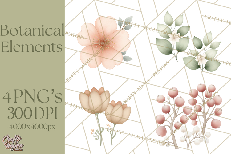 Botanical Clipart Leaves Flowers Succulents Branches PNG