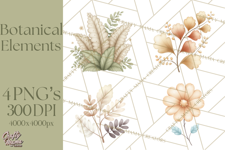 Botanical Clipart Leaves Flowers Succulents Branches PNG