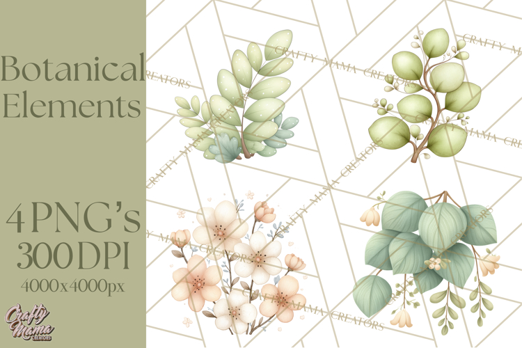 Botanical Clipart Leaves Flowers Succulents Branches PNG
