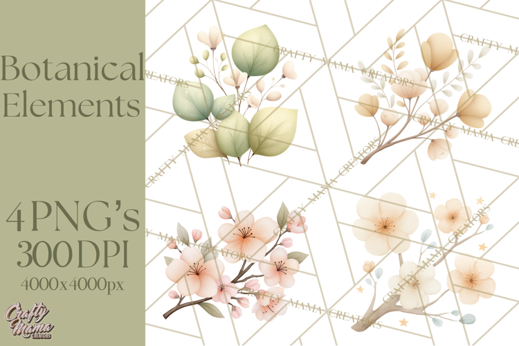 Botanical Clipart Leaves Flowers Succulents Branches PNG