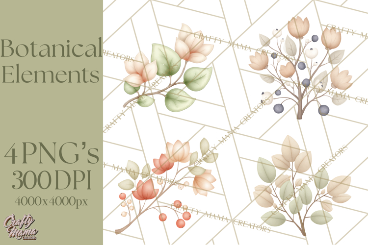 Botanical Clipart Leaves Flowers Succulents Branches PNG