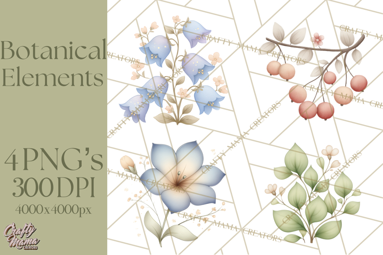 Botanical Clipart Leaves Flowers Succulents Branches PNG