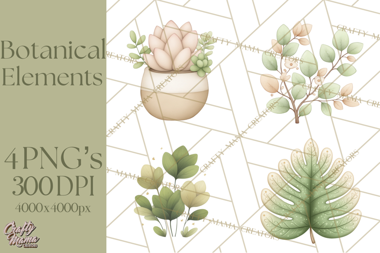 Botanical Clipart Leaves Flowers Succulents Branches PNG