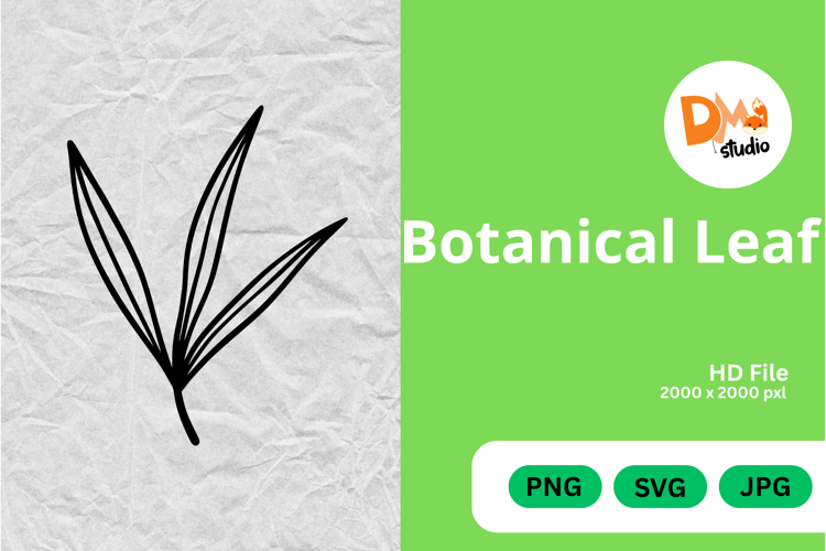 Leaf Outline Clipart Image 24