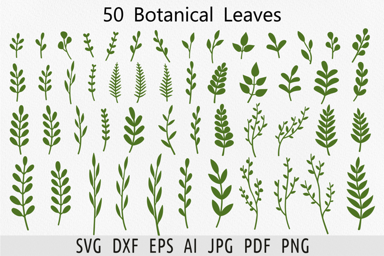 Botanical leaves svg bundle Green foliage Greenery svg