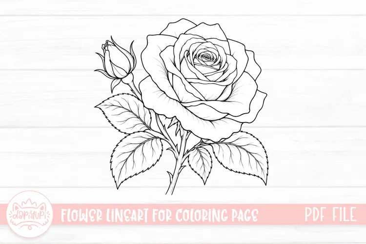 Rose Flower Coloring Book PDF Ready To Print