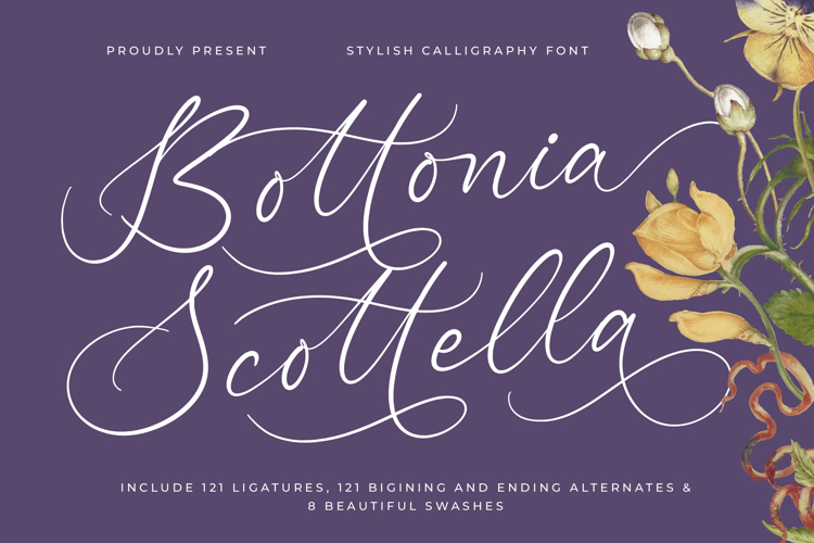 Bottonia Scottella - Stylish Calligraphy Font