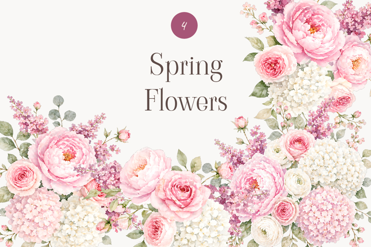 Peony Clipart Image 6