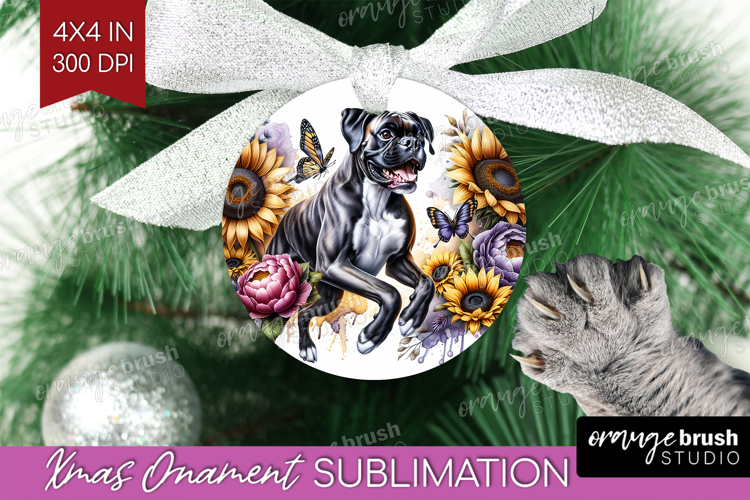 Ornament Png Image 5