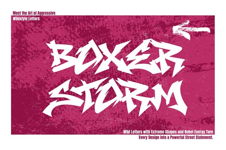 Boxer Storm - Wild Graffiti Font example image 1
