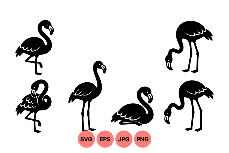 Flamingo Vector