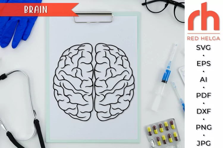 Brain SVG, Human Anatomy Cut File, Brain DXF