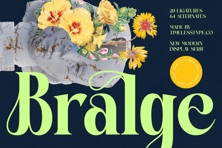Bralge - Modern Display Serif Font
