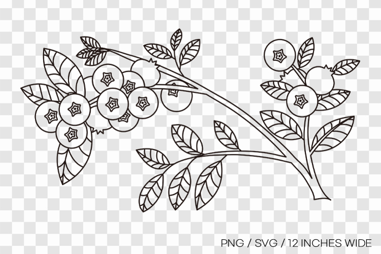 Blueberry branch line art SVG summer clipart illust PNG example image 1