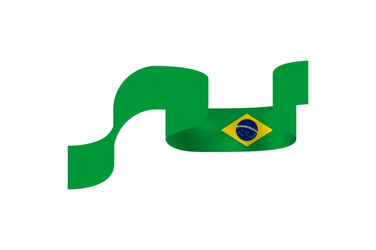 Flag Vector Image 23