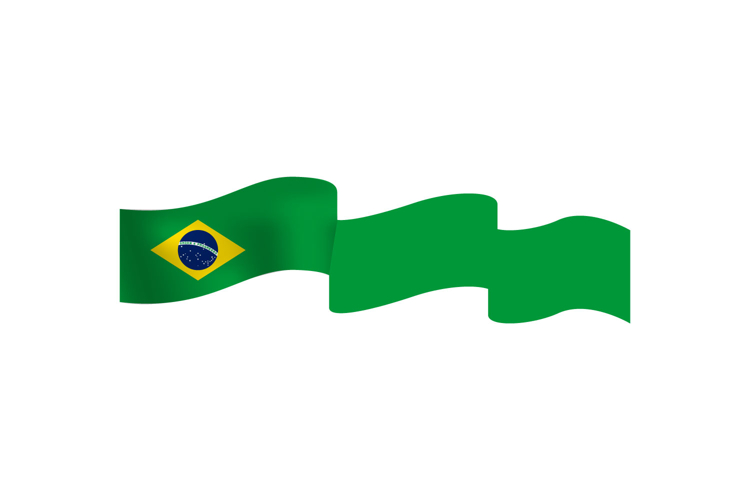 Flag Vector Image 9