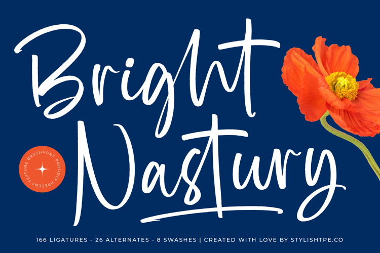 Modern Calligraphy Font Image 12