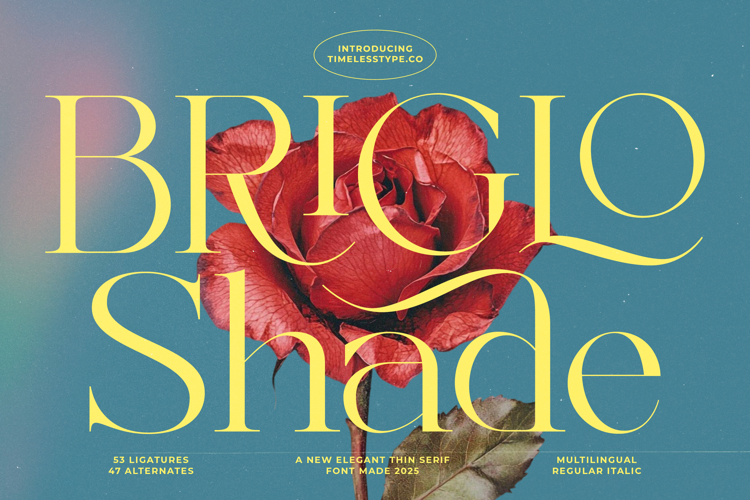 Branding Font Image 16