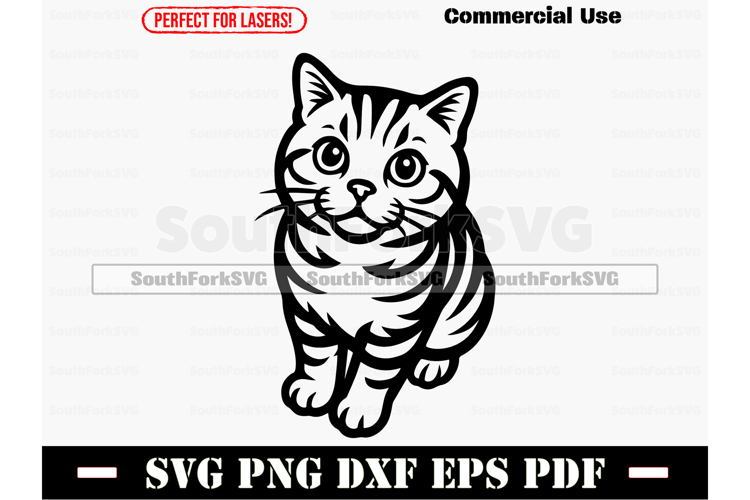 British Shorthair Cat Begging SVG PNG DXF EPS PDF