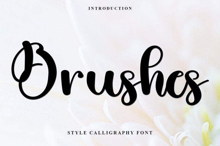 Brushes