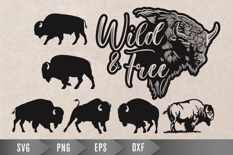 Buffalo Svg Image 11