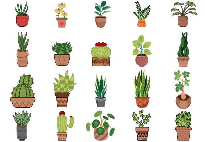 Garden Background Image 15