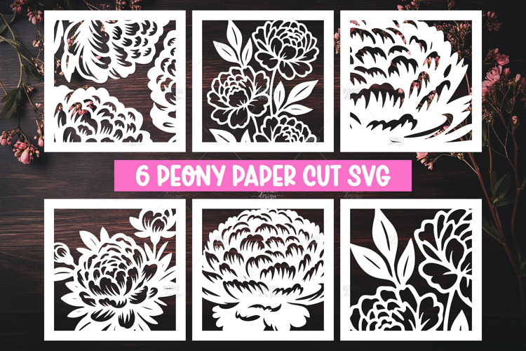 Peony Botanical Illustration Image 2
