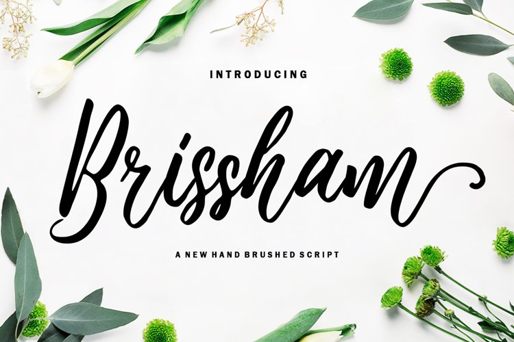 Romantic Collection Font Bundle