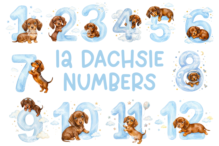 Dachshund Png Image 17