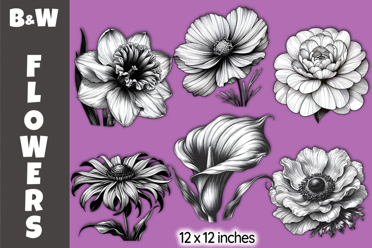 Black   White Floral Clipart, Vintage Botanical Flowers