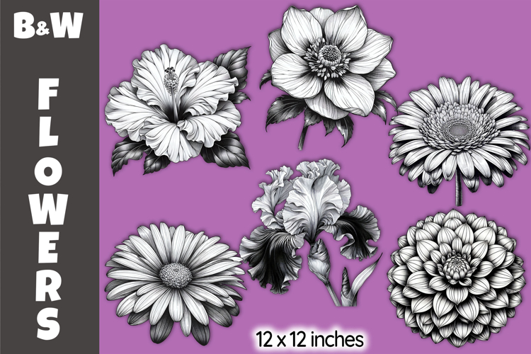Black   White Floral Clipart, Vintage Botanical Flowers