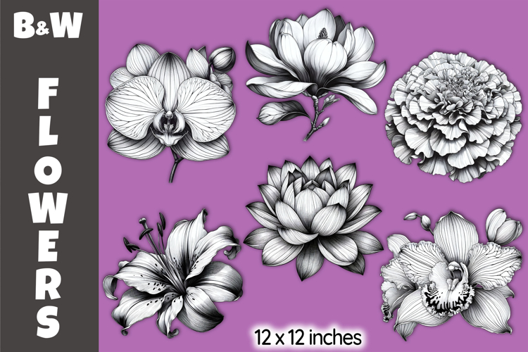 Line Clipart Image 3