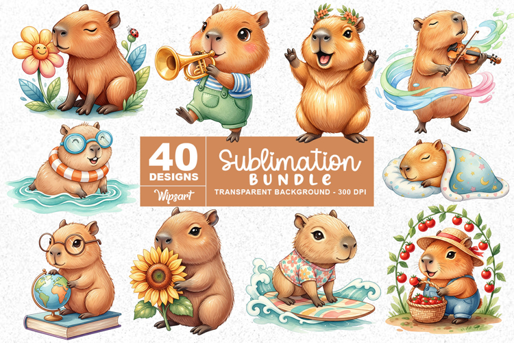 Cute Capybara Activities Sublimation PNG Bundle