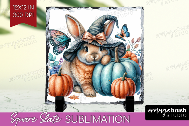Bunny Clipart