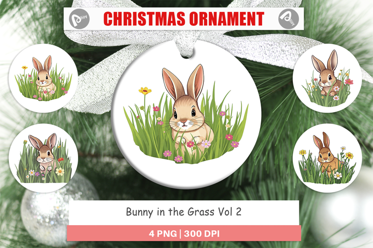 Ornament Grass Bunny