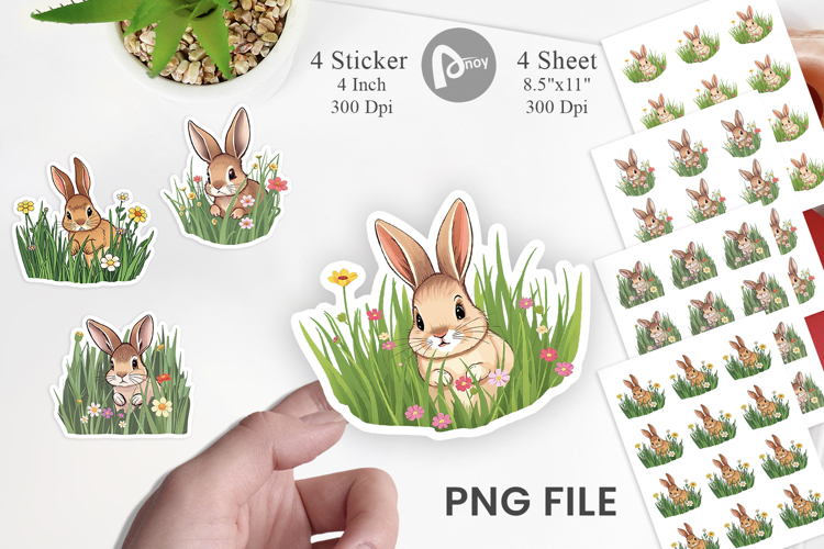 Forest Png Image 15