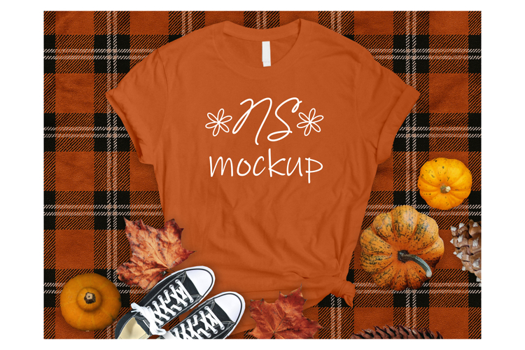 Bella Canvas 3001 T-shirt mockup, color Burnt Orange