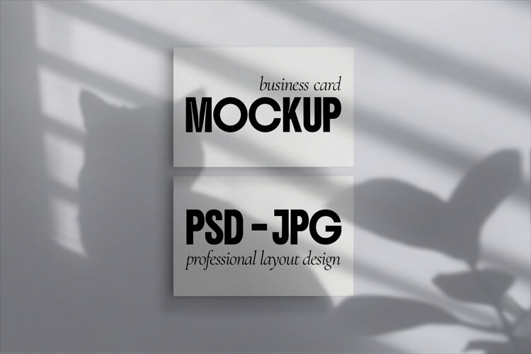 Artistic Modern Business Card Mockup Design example image 1