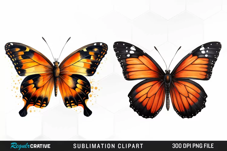 Butterfly Illustration PNG Clipart
