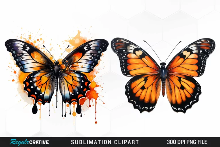 Butterfly Illustration PNG Clipart