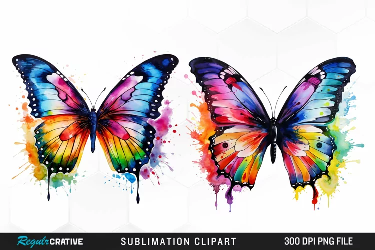 Watercolor Butterfly Exquisite Clipart