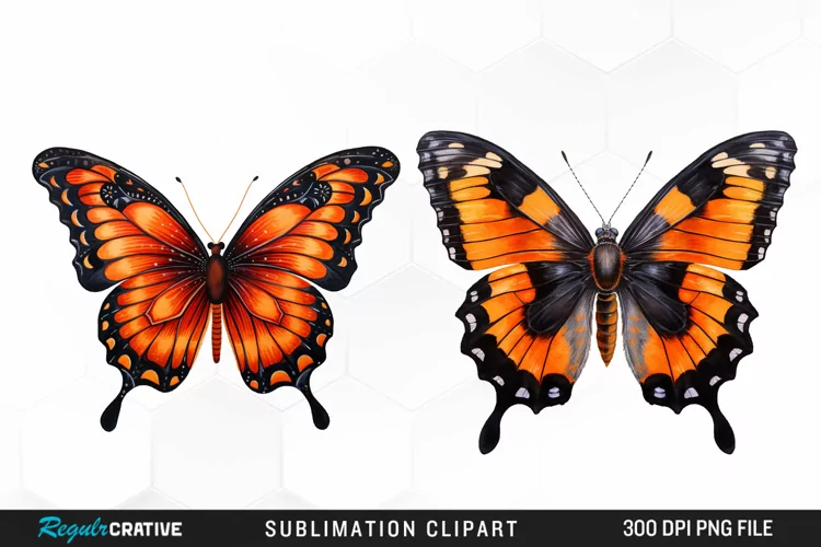 Butterfly Illustration PNG Clipart
