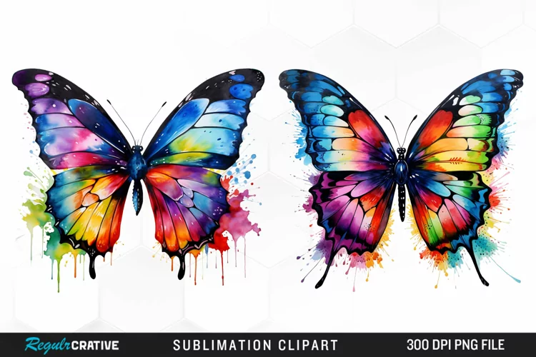 Watercolor Butterfly Exquisite Clipart