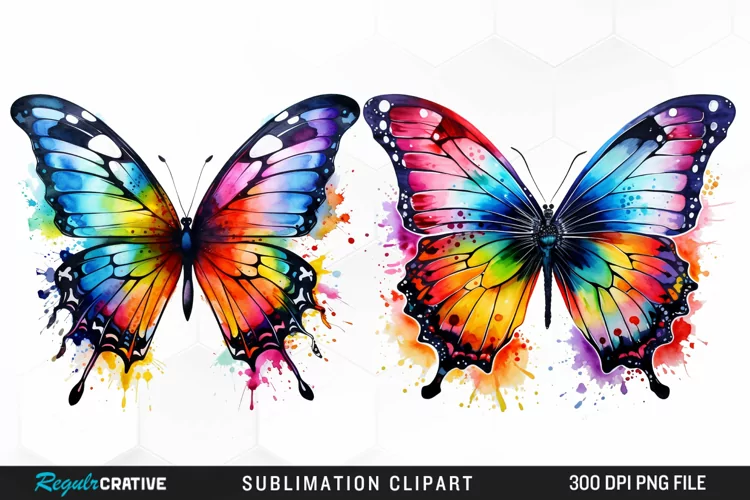 Watercolor Butterfly Exquisite Clipart