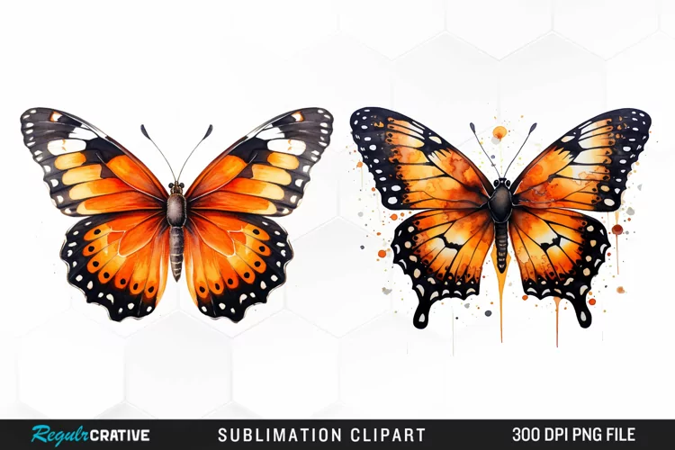 Butterfly Illustration PNG Clipart