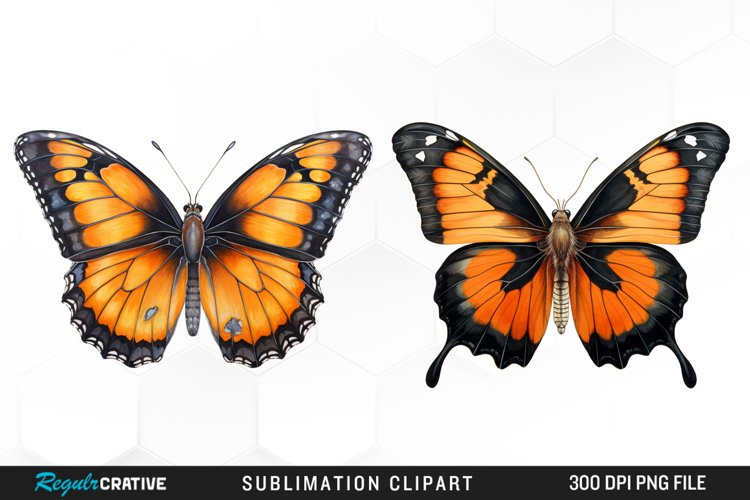 Butterfly Illustration PNG Clipart