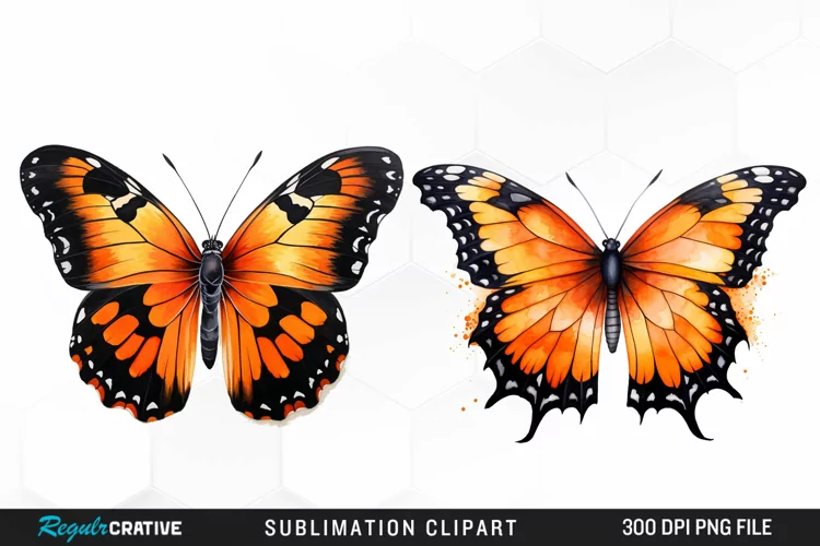 Butterfly Illustration PNG Clipart